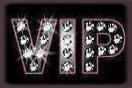 *VIP*